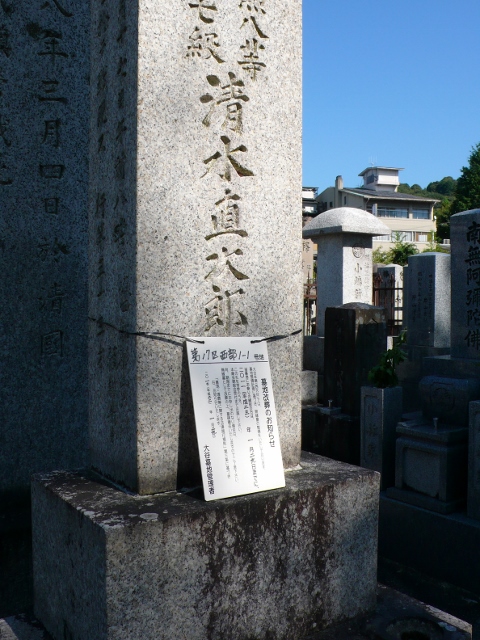 P1130567-(1) (480x640)