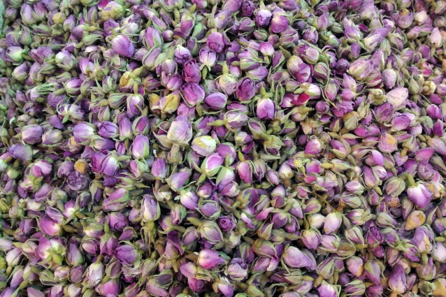 دومین جشنواره و نمایشگاه ملی گیاهان دارویی، فرآوردههای طبیعی و طب سنتی ایران (اپکتایمز)
