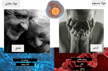 دی ان ای ترس احساسات تاثیر بر ژن