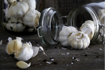 سیرآنتی بیوتیک طبیعی