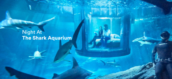 (airbnb.ca)