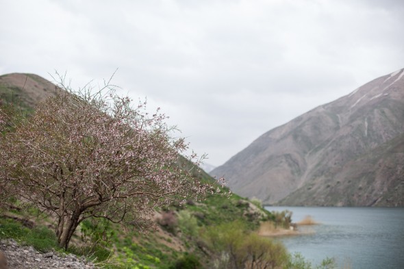  طبیعت لرستان درود، دریاچه‌ی گهر (اپک‌‏تایمز)