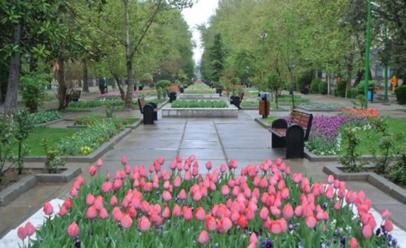 گل لاله در تهران