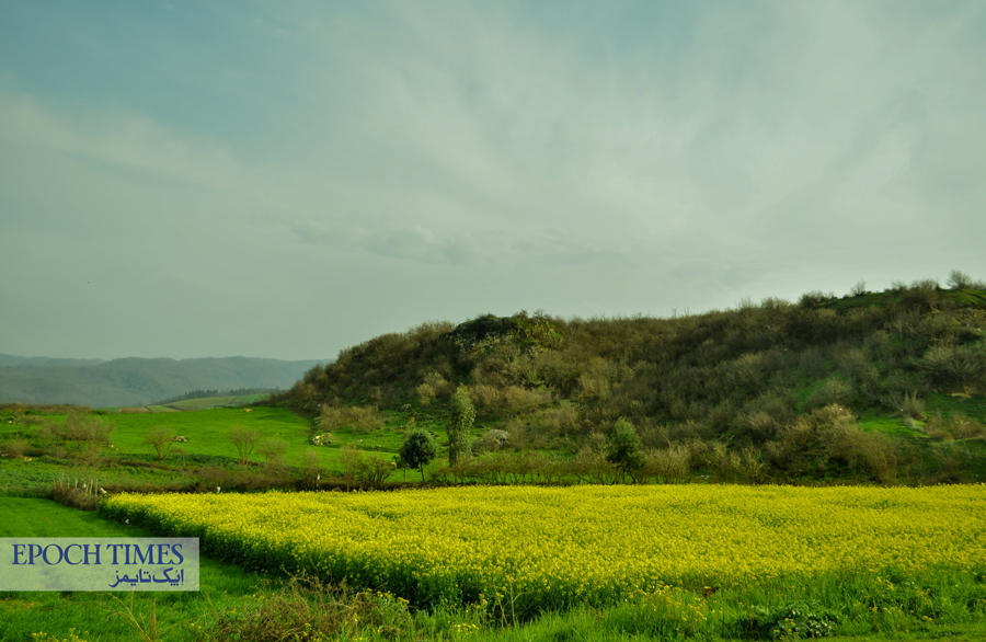 مازندران، رستم (۲)