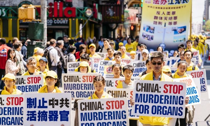 برداشت گزارش سازمان صلح جهانی‌، به‌طور برجسته‌ای به ‌برداشت اجباری اعضای بدنِ زندانیان عقیدتی در چین اشاره دارد «تایوان و اسپانیا "توریسم پیوند