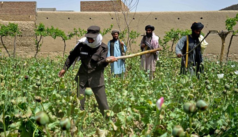 قدردانی رئیس هیئت نمایندگی سازمان ملل از طالبان؛ افزایش نگرانی فعالان مدنی افغانستان   