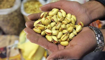 هشدار اتحادیه اروپا به ایران درباره آلودگی پسته به سم قارچی افلاتوکسین؛ ممنوعیت واردات از ۲۸ آبان اعلام شد. بخش خصوصی برای رفع بحران وارد عمل شده است.
