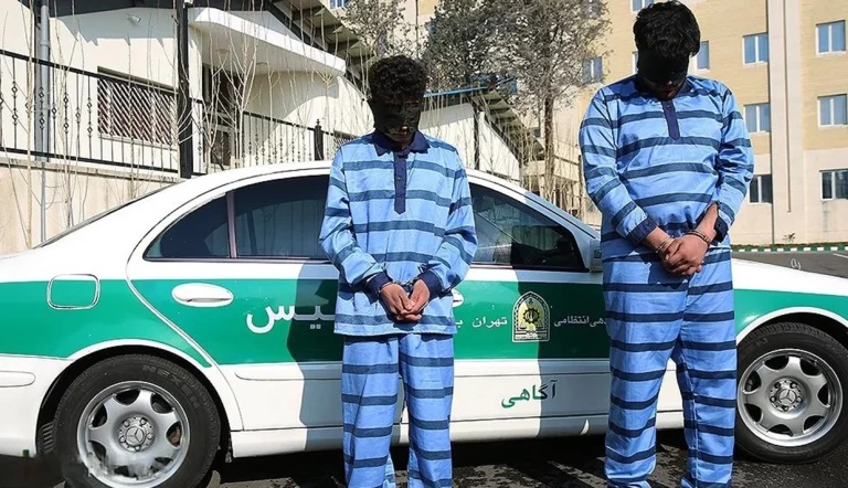 سرپرست دادسرای امور جنایی تهران از دستگیری دو متهم به قتل امیرمحمد خالقی، دانشجوی دانشگاه تهران با انگیزه سرقت خبر داده است.