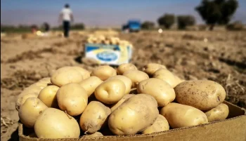 وزیر جهاد کشاورزی با اشاره به افزایش قیمت برخی محصولات غذایی، علت گرانی برنج را «ساختگی» دانست.