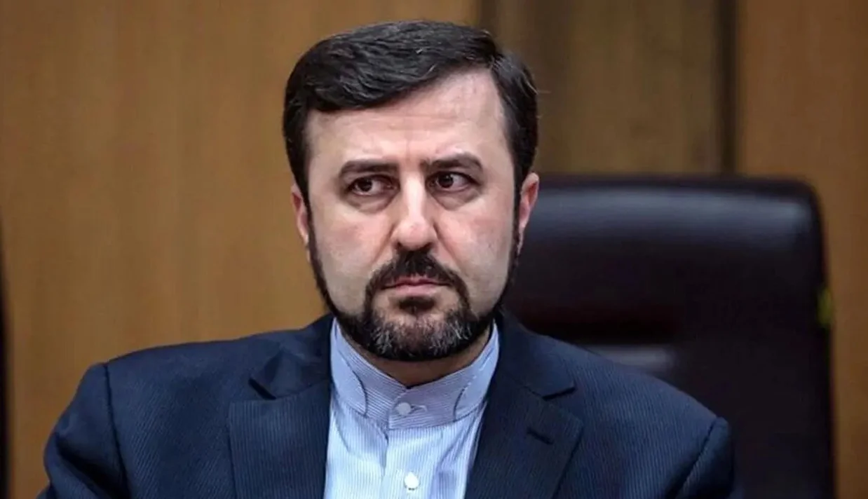 در پی خبر همراه بردن یک خودنویس طلا از محل مذاکرات عمان توسط کاظم غریب‌آبادی، موسی فرهنگ، سفیر ایران در عمان، این ادعاها را «دروغ» دانست.