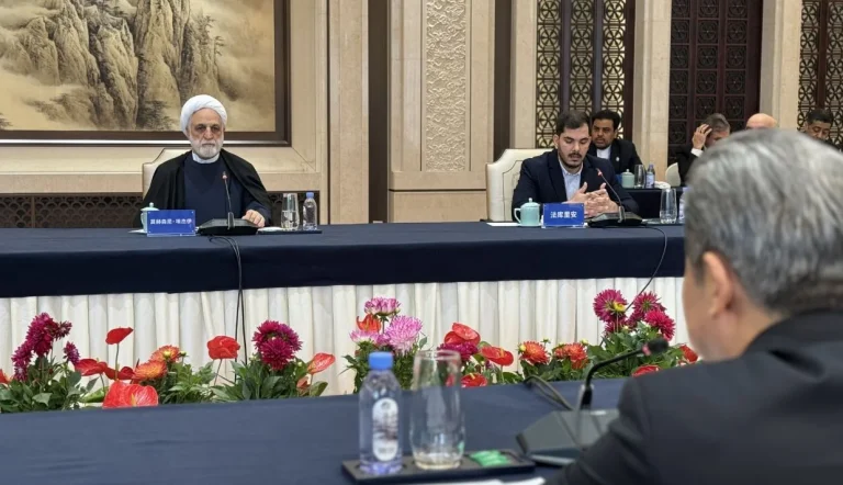 غلامحسین محسنی اژه‌ای رئیس قوه قضائیه جمهوری اسلامی به کشورهای عضو شانگهای پیشنهاد داده است که پلتفرم مخصوصی برای اشتراک‌گذاری اطلاعات قضایی بین کشورهای عضو برای «تسریع در تعقیب مجرمان» ایجاد کنند.