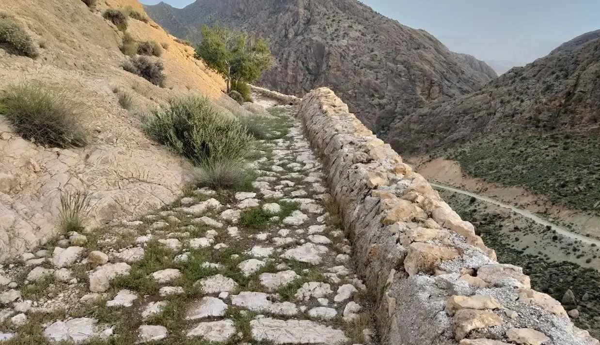 در پی طوفانهای اخیر در شهرستان فهرج کرمان، بخش تازهای از جاده تاریخی ادویه ـ که برخی آن را مهمتر از جاده ابریشم میدانند ـ از زیر شنهای کویر بیرون آمد.