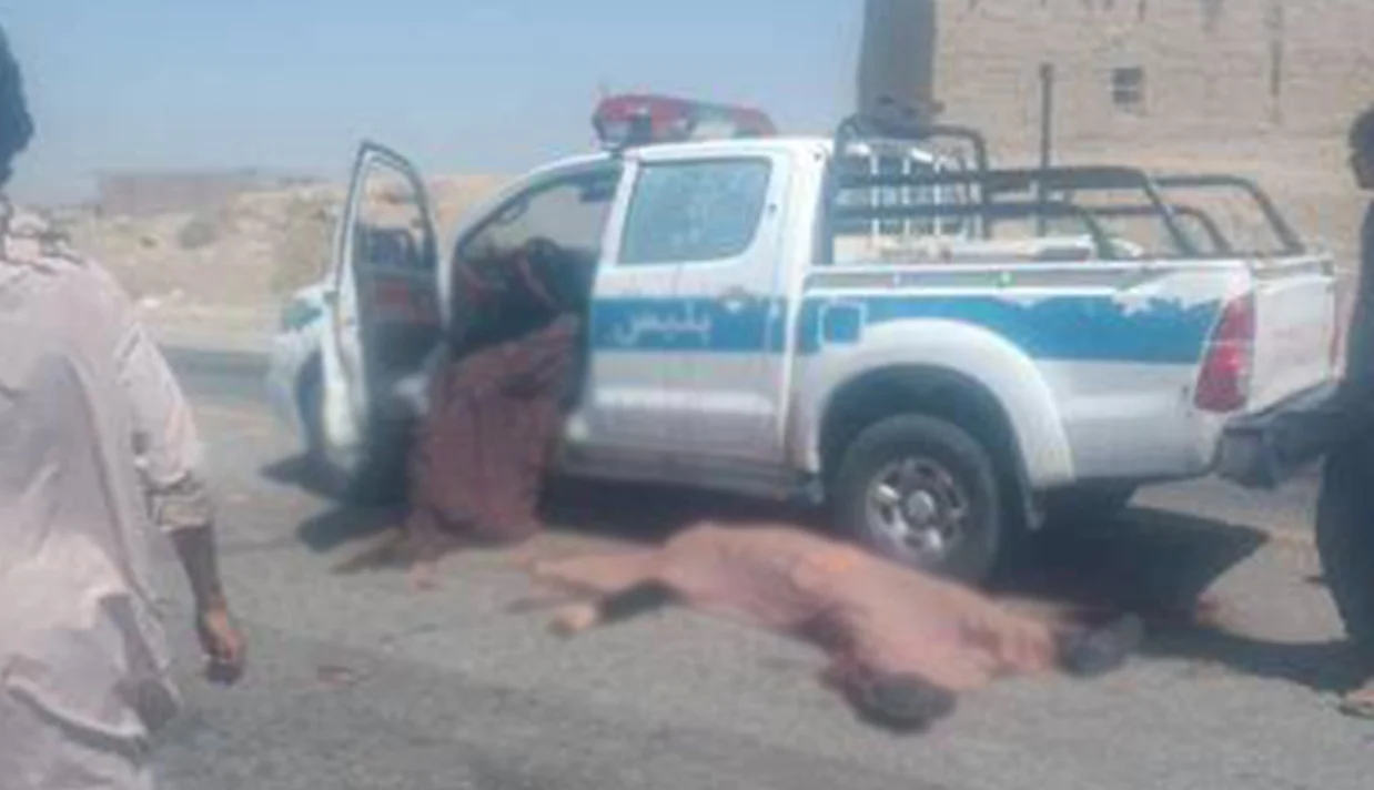 در پی حمله مسلحانه به دو خودروی نظامی در ایرانشهر واقع در سیستان بلوچستان، پنج «نیروی انتظامی» کشته شدند.