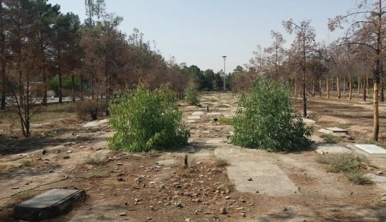 مای ساتو، گزارشگر ویژه سازمان ملل در امور اعدامهای فراقضایی، همراه با گروهی از کارشناسان این سازمان، تخریب قطعه ۴۱ بهشتزهرا در تهران را محکوم کرد.