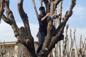 همزمان با تشدید برخوردهای انضباطی با دانشجویان، گزارش‌هایی از صدور احکام اخراج و محرومیت از تحصیل برای دست‌کم ۱۸ دانشجو در دو دانشگاه صنعتی شریف و سجاد مشهد منتشر شده است.