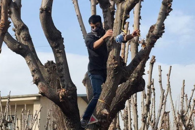 اخراج دست‌کم ۸ دانشجوی دانشگاه صنعتی شریف و محرومیت تحصیلی ۱۰ دانشجوی دانشگاه سجاد مشهد