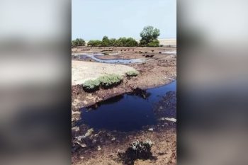 مسئولان محیط‌زیست در قشم از گسترش لکه‌های نفتی در سواحل جنوبی این جزیره به محدوده جنگل‌های حرا در روستای «نقاشه» خبر داده‌اند.