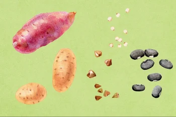 مواد غذایی کاملی مانند سیبزمینی شیرین، حبوبات، گندم سیاه و کینوآ با داشتن فیبر، نشاسته مقاوم و ترکیبات آنتیاکسیدانی میتوانند به سلامت روده، کنترل قند خون و کاهش التهاب کمک کنند.