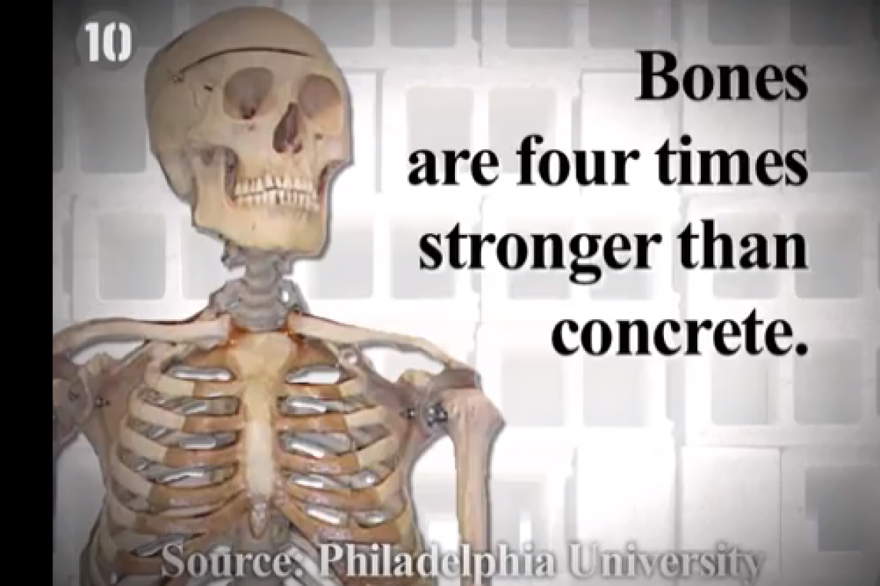 10HumanBody