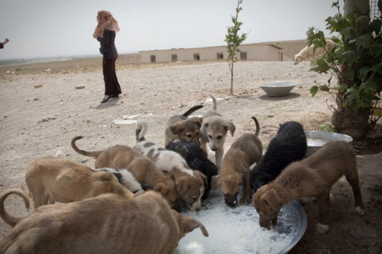 (BEHROUZ MEHRI/AFP/Getty Images)