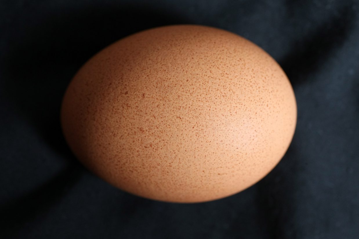 Organic Chicken Farms Cited For Overcrowding