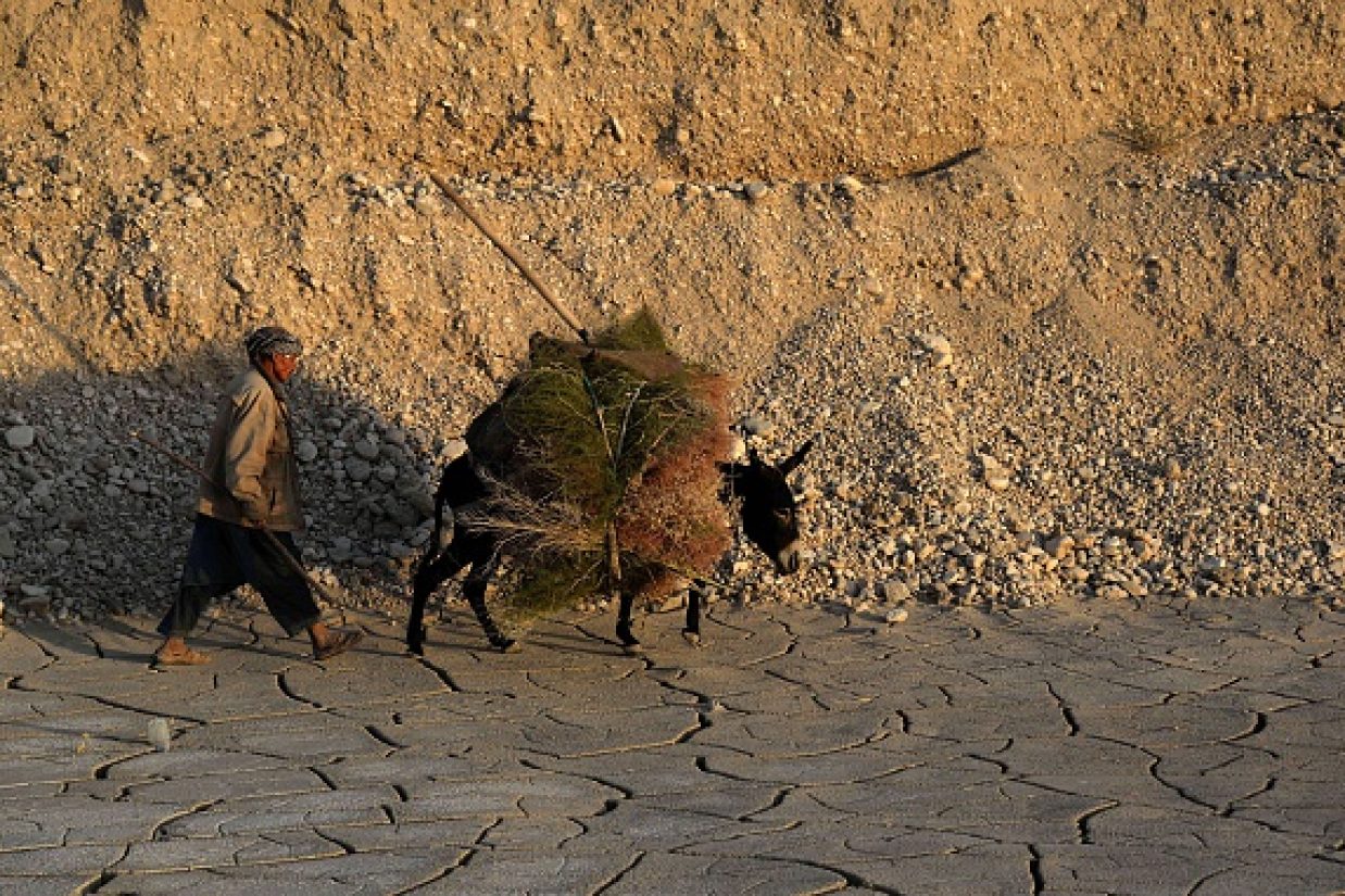 (FARSHAD USYAN/AFP/Getty Images)