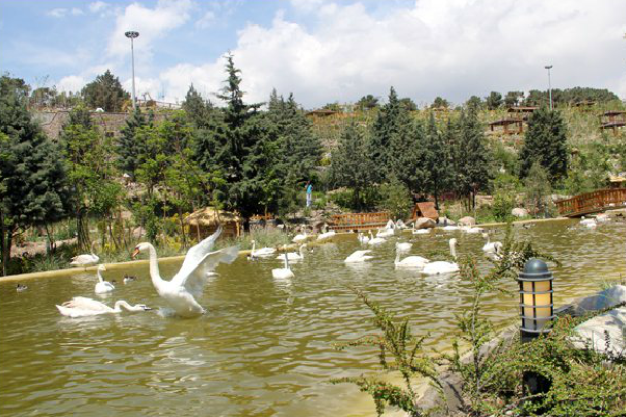 باغ پرندگان تهران در پارک جنگلی لویزان (شهرداری منطقه ۴ تهران، region4.tehran.ir)
