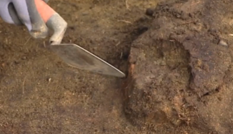 جمجمه‌‏ای با ۸ هزار سال قدمت در نروژ کشف شد. (اسکرین‌‏شات/یوتیوب)
