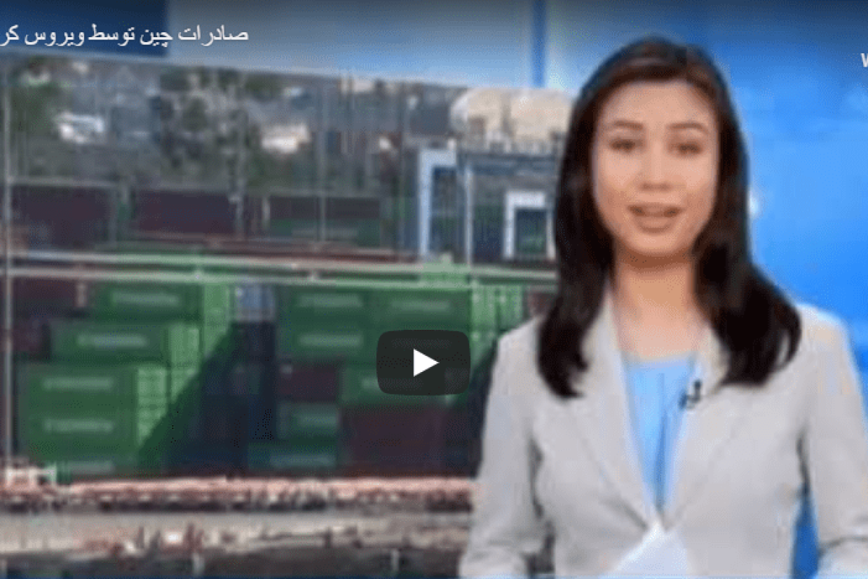 صادرات چین توسط ویروس کرونا مختل شده است