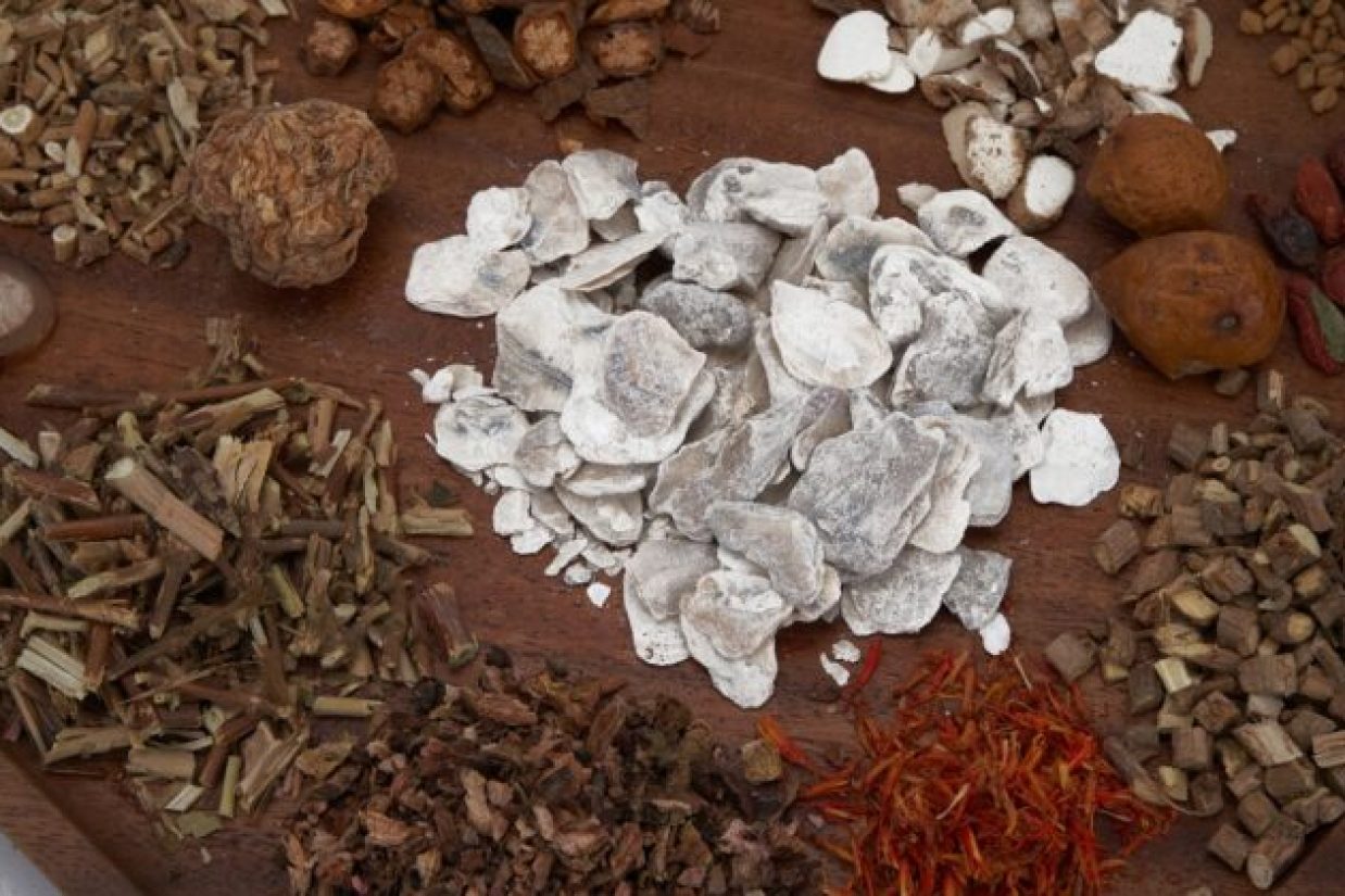 آشپز شخصاً مقداری از گیاهان الهی را به دربار سلطنتی در پایتخت فرستاد و بدین ترتیب این بلای سخت را قبل از گسترش بیشتر متوقف کرد.