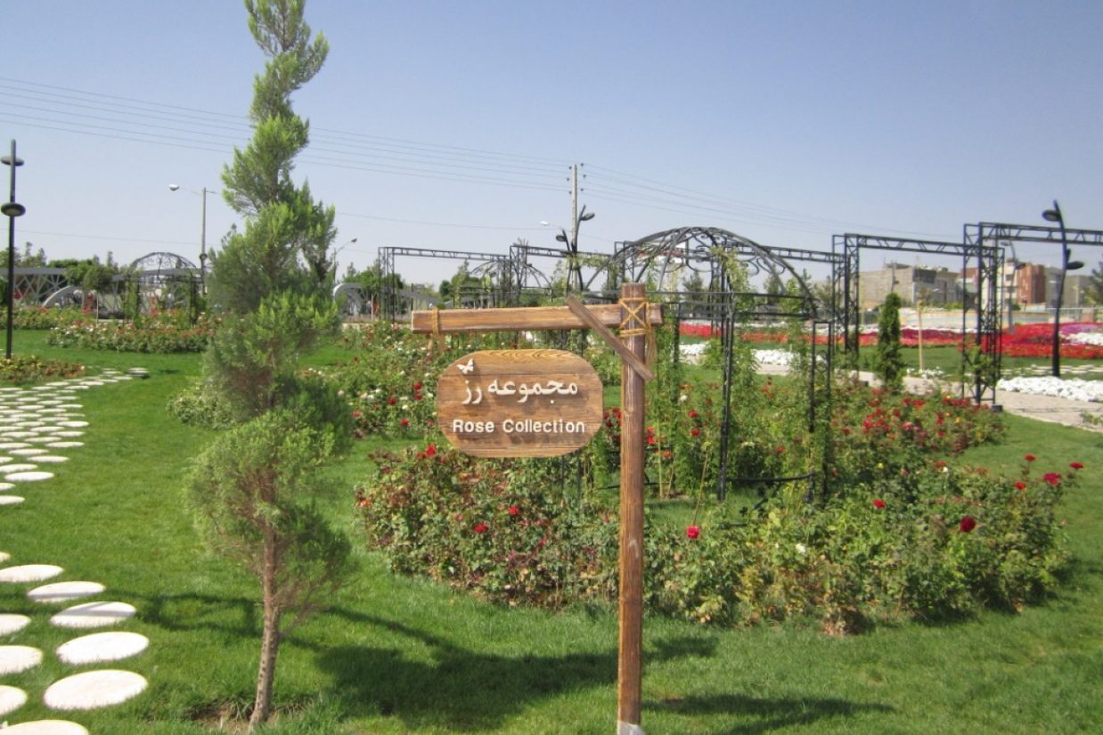 مجموعه رز، در باغ گل‌‌‏ها، مشهد. این باغ در طرحی به شکل گل بنفشه با هشت گلبرگ احداث شده است که هر کدام از این گلبرگ‌ها قسمت‌های مختلف باغ را تشکیل می‌دهد. (اپک‌‌‏تایمز)