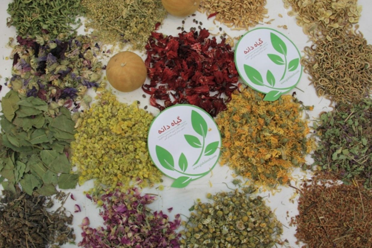 سومین جشنواره و نمایشگاه ملی گیاهان دارویی، فراورده‌های طبیعی و طب سنتی – مصلی تهران (اپک‌‏تایمز)