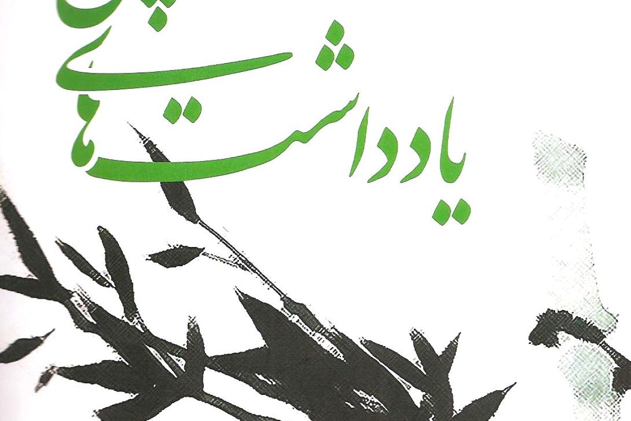 یادداشت های پکن فالون دافا فالون گونگ محمد دهقانی نشر نگاره آفتاب