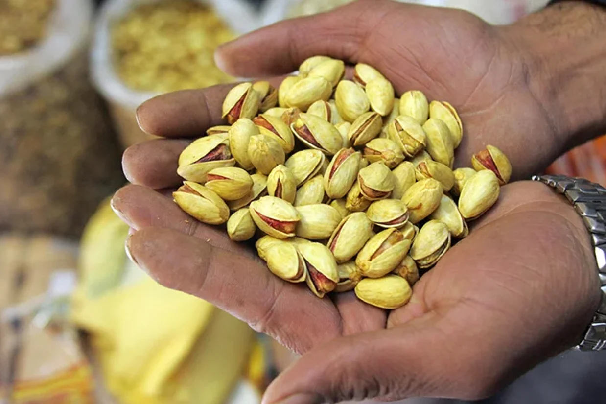 هشدار اتحادیه اروپا به ایران درباره آلودگی پسته به سم قارچی افلاتوکسین؛ ممنوعیت واردات از ۲۸ آبان اعلام شد. بخش خصوصی برای رفع بحران وارد عمل شده است.
