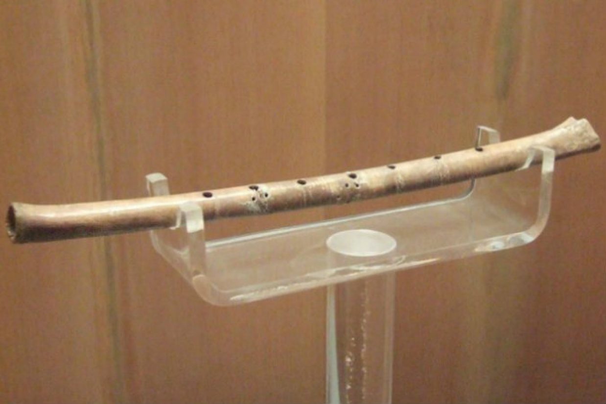 (asgitner via wikimedia commons)