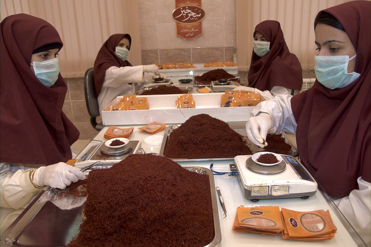 زعفران سحر خیز