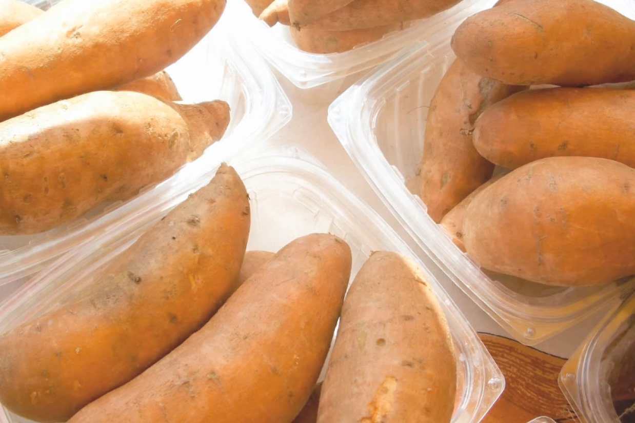 Sweet Potato - Copy