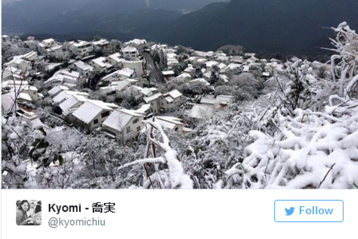 Taiwan Snow - Copy