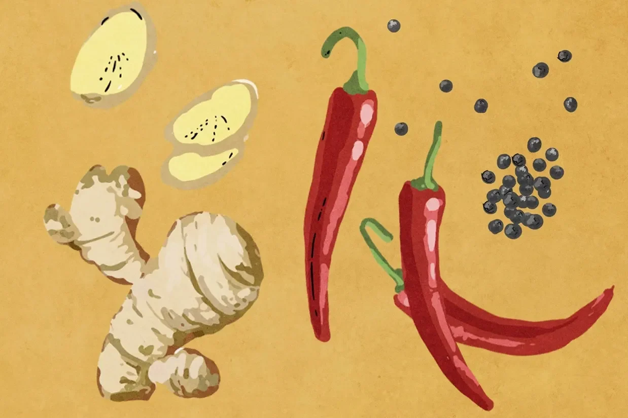 غذاهای تند و ادویه‌هایی مانند فلفل، زنجبیل و فلفل سیاه حاوی ترکیبات فعالی هستند که می‌توانند بر سوخت‌وساز، التهاب، درد و سلامت قلب تأثیر بگذارند.