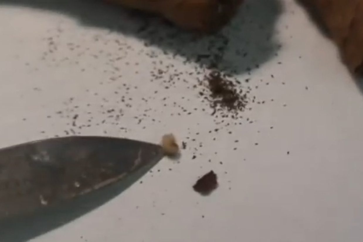 فیلم ناهید