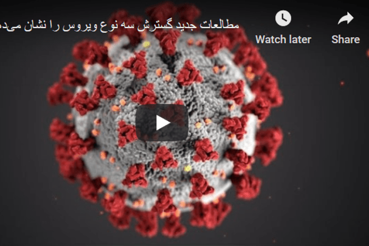 Virus