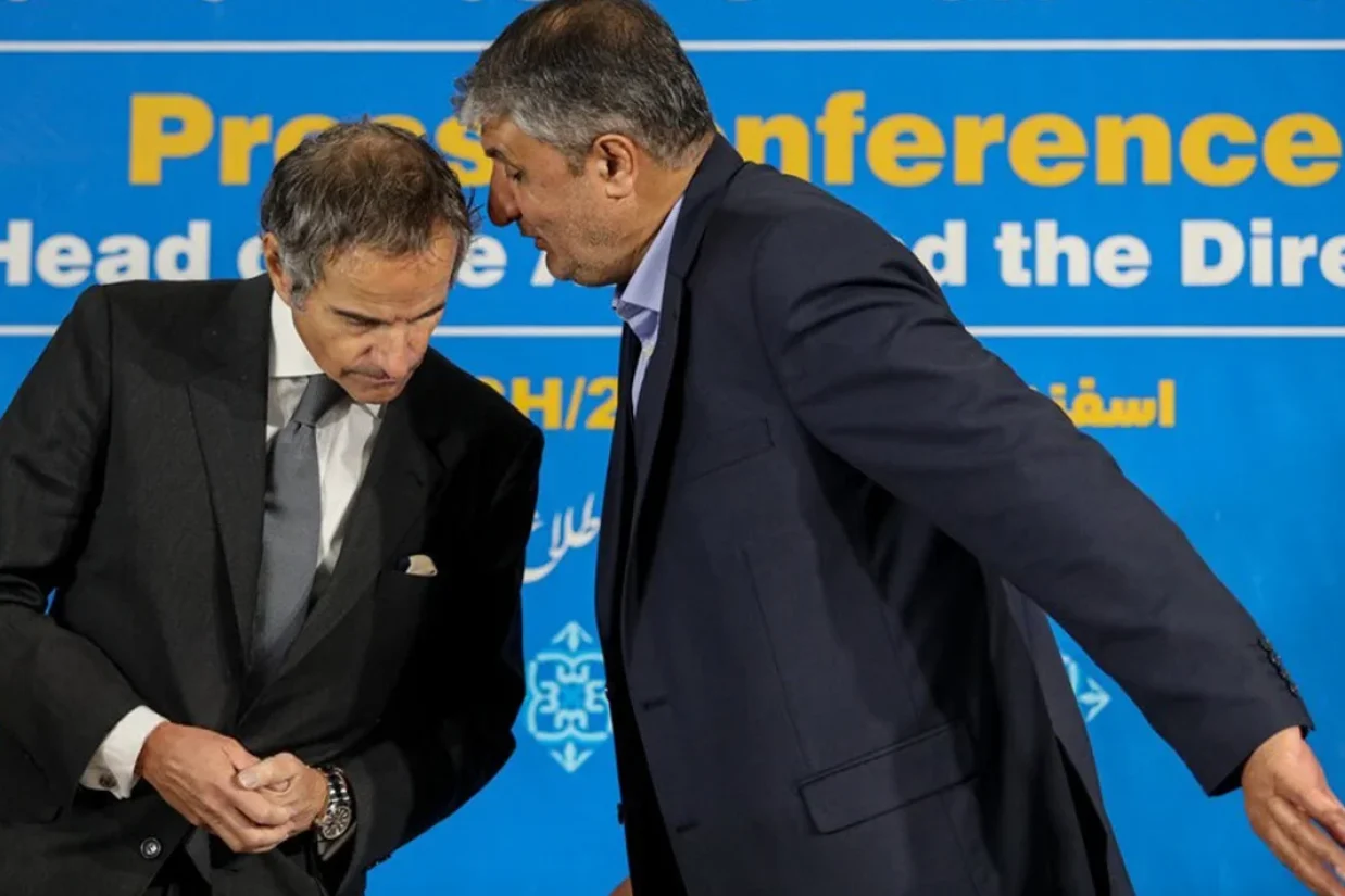 قاسم محبعلی، سفیر پیشین جمهوری اسلامی ایران در یونان گفت بدون توافق با آژانس بین‌المللی انرژی اتمی، تعلیق مکانیسم ماشه امکان‌پذیر نیست.