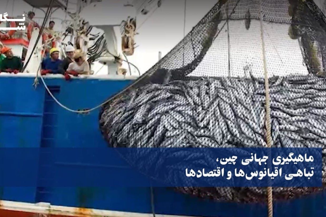 ماهیگیری جهانی چین، تباهی اقیانوس‌ها و اقتصادها