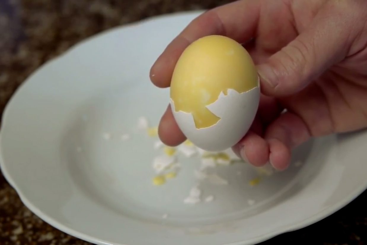 egg - Copy