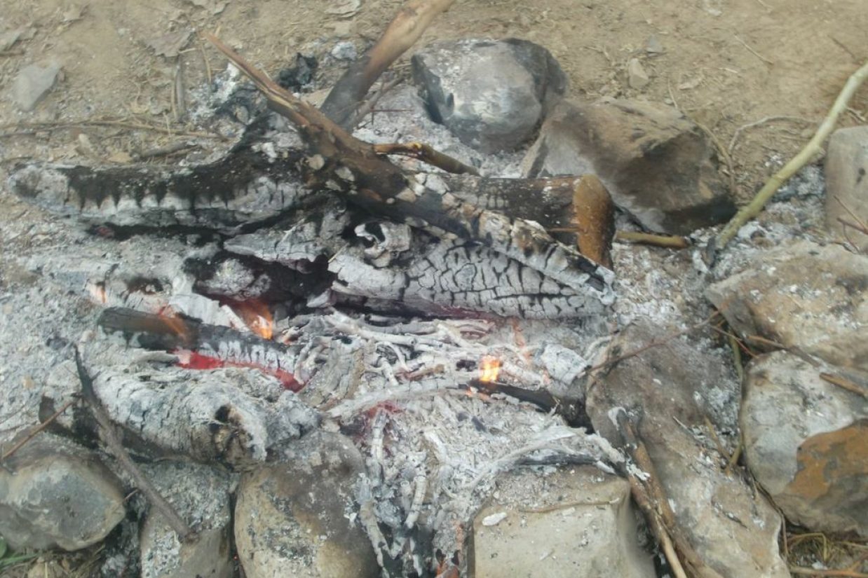 fire