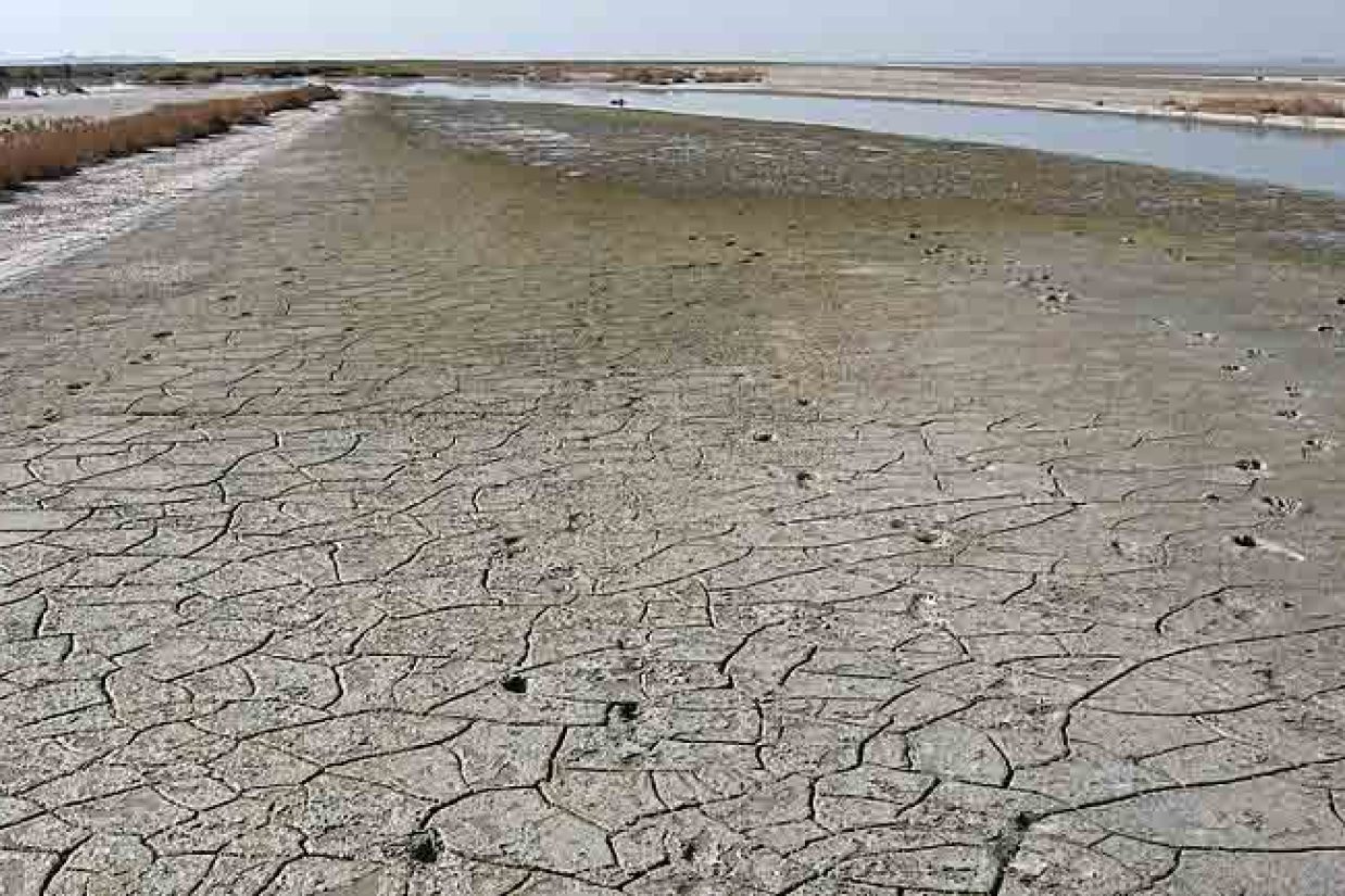 (WIKIMEDIA)
تالاب گاوخونی