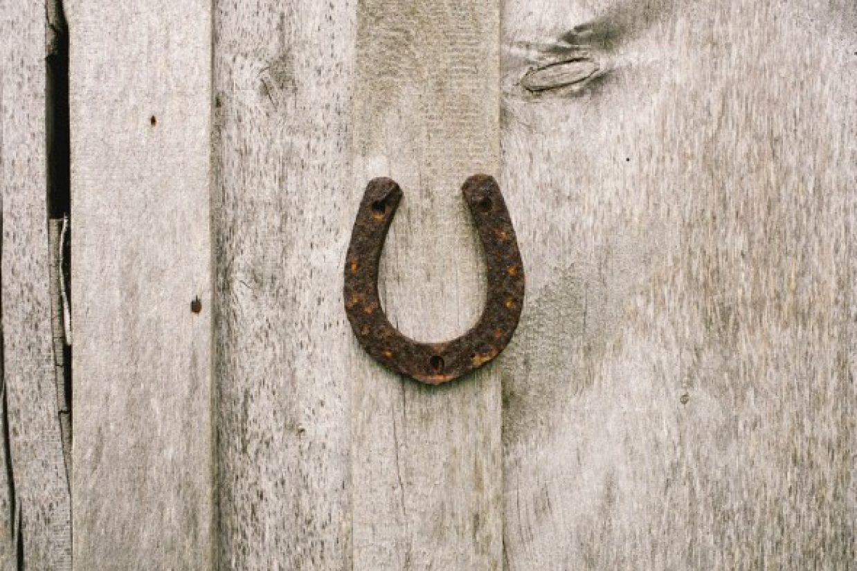 horseshoe-1286059_960_720-590x393