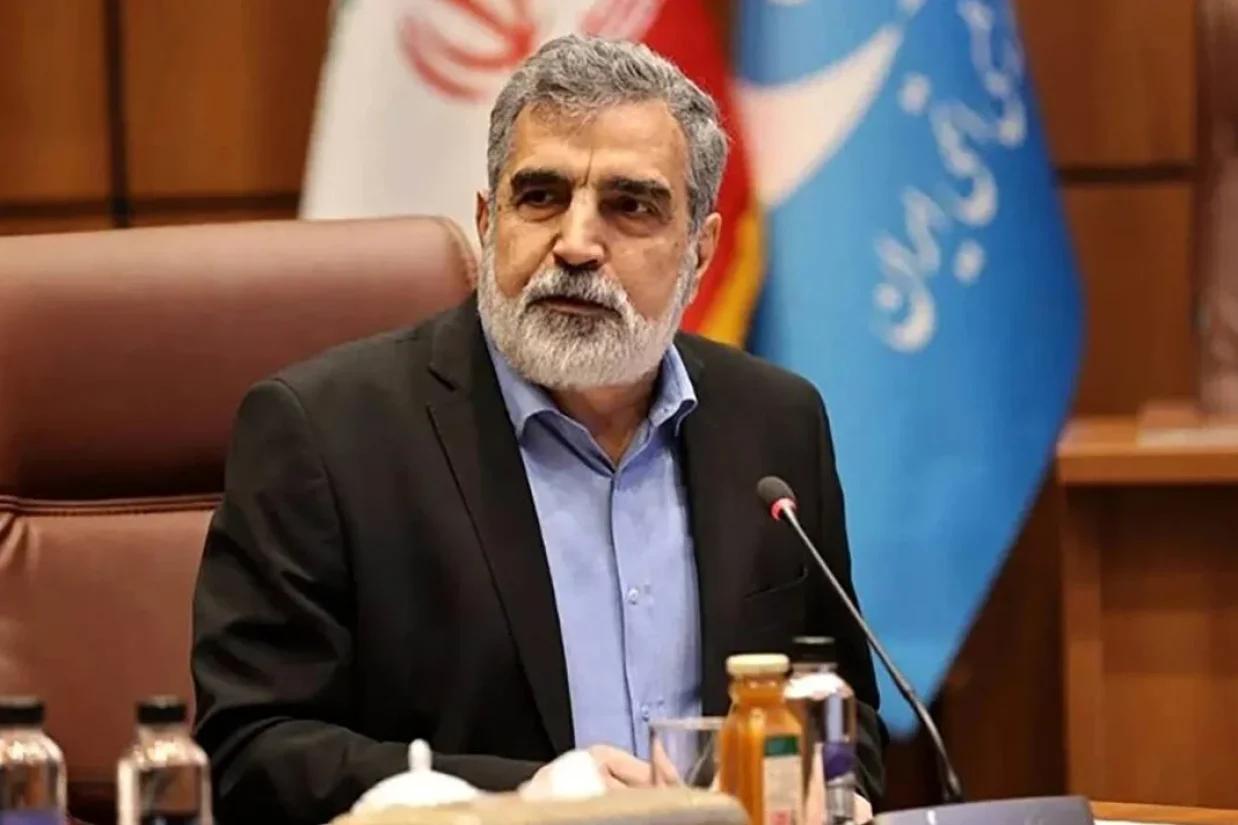 سخنگوی سازمان انرژی اتمی جمهوری اسلامی گفت براساس مصوبه مجلس شورای اسلامی مبنی بر تعلیق همکاری‌ها با آژانس انرژی اتمی هیچ‌گونه بازرسی از تاسیسات هسته‌ای انجام نمی‌شود.