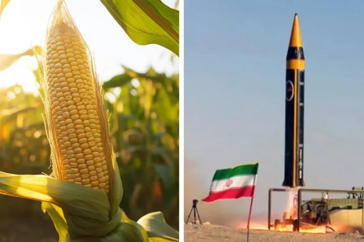 احمد بخشایش اردستانی، عضو کمیسیون امنیت ملی مجلس در گفتگو با یکی از رسانه‌های داخل ایران گفته است که موشک و پهپاد به روسیه می دهیم، سویا و ذرت می‌‏گیریم.