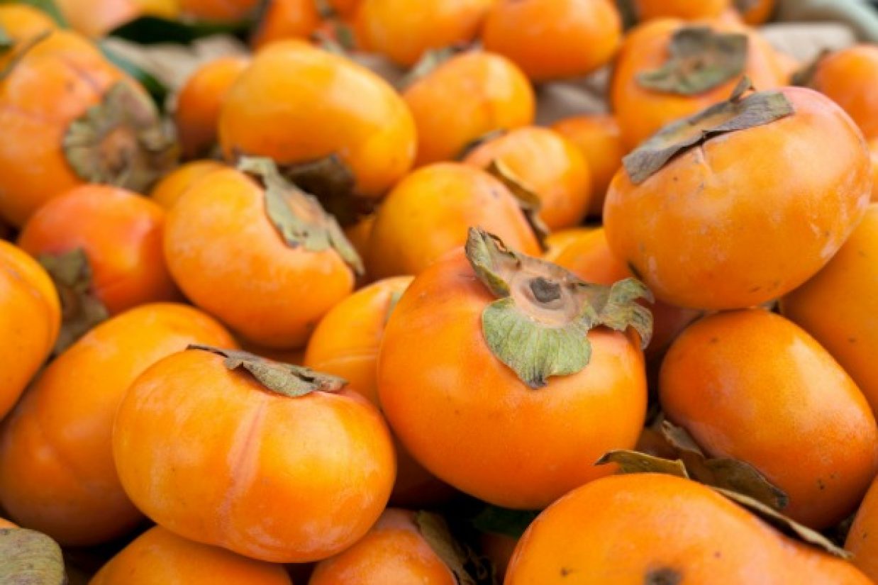 persimmons1